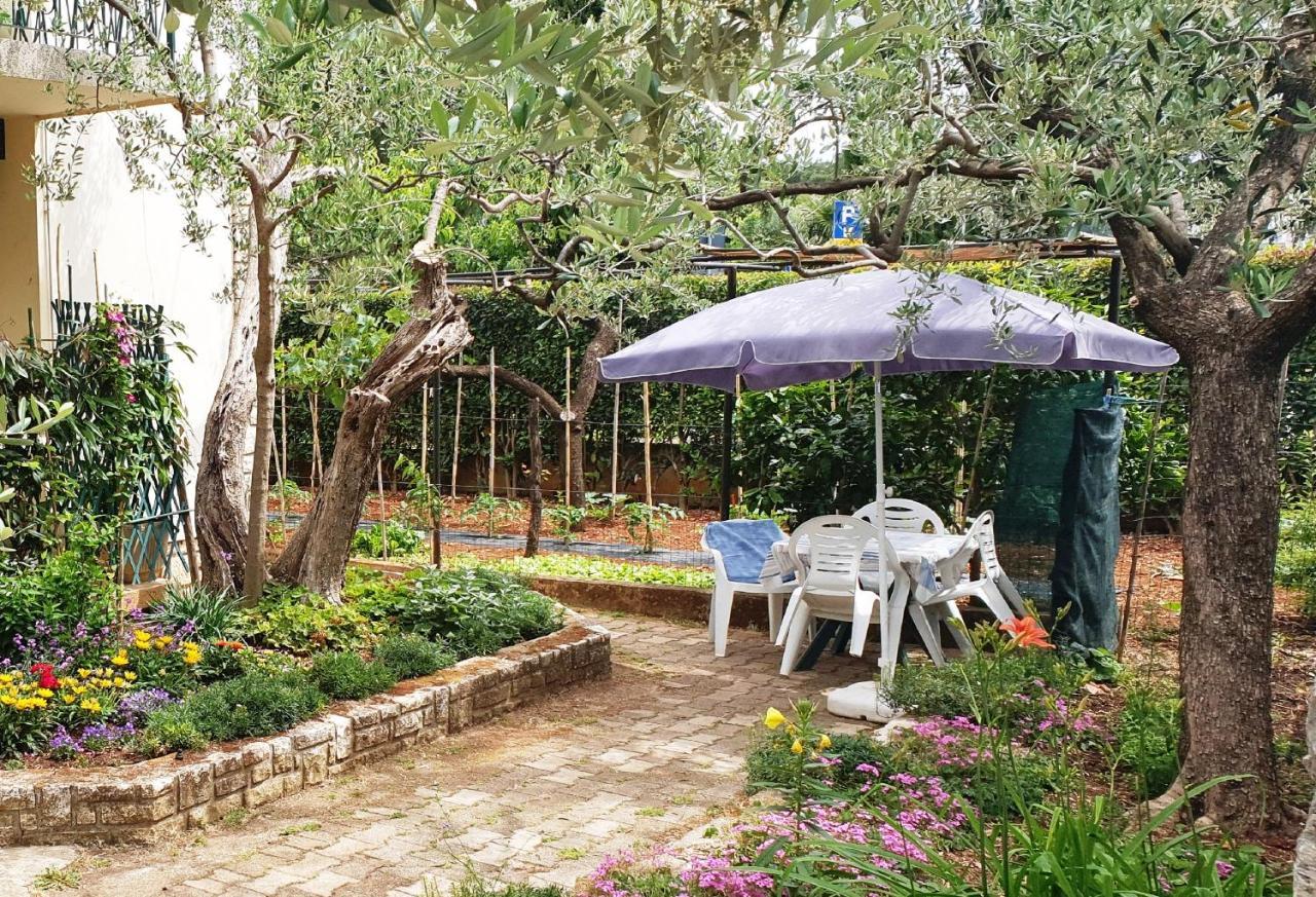 Cecillia Mare Apartments Ровинь Экстерьер фото
